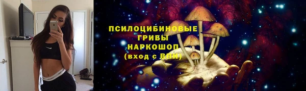 ALPHA PVP Корсаков