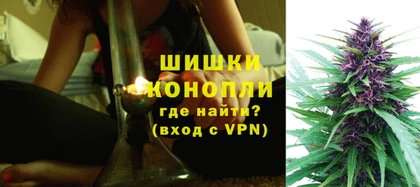 мяу мяу мука Коряжма